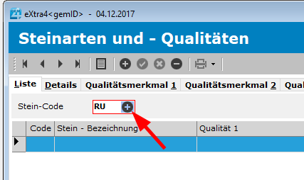 Steinart_Anlegen_CodeEingeben